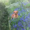 allanmaclean - @allanmaclean - TikTok