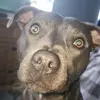 Allan Macmillan - @allan.macmillan - TikTok