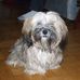 Allan Mak - Facebook