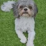 Allan Mann - @allan.mann14 - Instagram