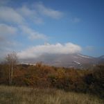 Alan marchand - @alanmarchand9 - Instagram