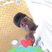 Allan Marcus - Facebook