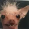 Allen.. Marcus - @allenmarcus06 - TikTok