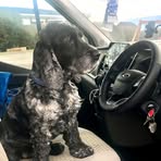 Alan Marks - Facebook