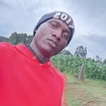 allan marley - @allanmarley13 - Instagram