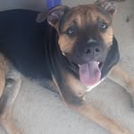 @allan.marrone - Instagram