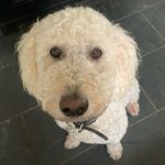 Alan Marriott - @alanmarriott5 - Instagram