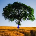 Alan Marsden - @magherally_lens - Instagram