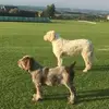 Alan Marsh - @alan.marsh - TikTok