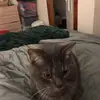 Allan Marshall - @allan.marshall4 - TikTok