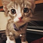 Allan Mason - @allan.1.mason - Instagram