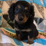 Alan Matheson - @alansadventures409 - Instagram