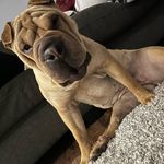 Allan Matheson - @matheson.allan - Instagram