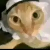Allan Matheus - @allan.matheus5 - TikTok