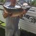 Allan Mathews - Facebook