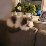 Allan Mathiesen - @allan.mathiesen - Instagram