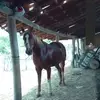Allan Matias Da Silva Matias - @allan.matias.da.s - TikTok