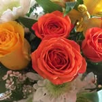 Allen Matson - @allen.matson - Instagram