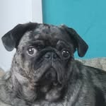 Allan Matthews - @nallamakes - Instagram