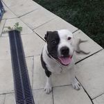 Allan Matthews - @allan.matthews.1044 - Instagram