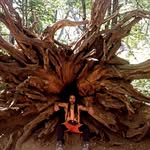 @eremita - @allanmaurovasquez - Instagram