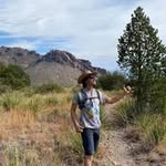 Allan Maxwell - @allan.maxwell - Instagram