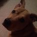 Alan Mayberry - Facebook