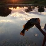 Allen Mayberry - @aj_mayberry - Instagram