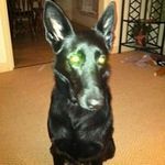 Allen Mayberry - @allenmayberry - Instagram