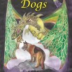 Allan Mayer - @ar_dragondogs_mayer - Instagram