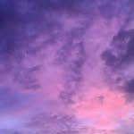Allan Mayor - @allanmayor - Instagram
