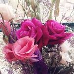 Mays Allan Almakawe - @mays.allan - Instagram