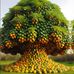 Allan Mbugua - Facebook