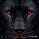 Allan Mburu - @alien_2679 - Instagram