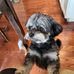 Allan J Mcbride - Facebook