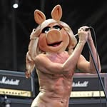 Alan McCabe - @alan.mccabe.irl - Instagram