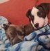 Allan Mccann - Facebook