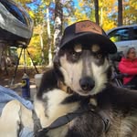 Allan McCarthy - @mccarthy.hammond - Instagram