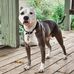 Allen McClure - Facebook