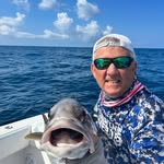 Allan McCoy - @mccoyallan - Instagram
