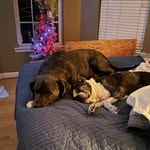 Allan McCoy - @allanmccoy3 - Instagram