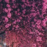 Ronja Hiltunen - @allanmccoy4607307 - Instagram