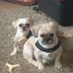 Allan McDonald - @allan.mcdonald.1253 - Instagram