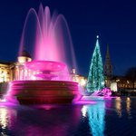 Alan McDougall - @alanmcdougall - Instagram