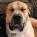 Allen McEachern - Facebook
