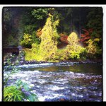 Allan McGrath - @scoutman5450 - Instagram