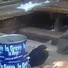 alanmchardy877 - @alanmchardy877 - TikTok