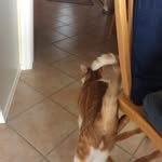 Allan Mcinnis - @allan.mcinnis - Instagram