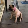 Allan McLachlan - @allan.mclachlan2 - TikTok