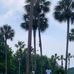 Allan McLaurin - Facebook